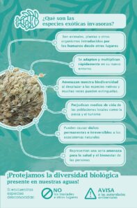 volante infografía compressed (1) page 0001
