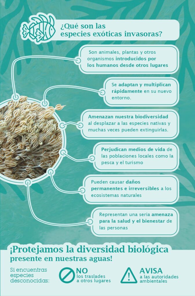 volante infografía compressed (1) page 0001